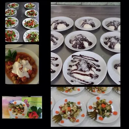 ホテル Zara ベルディビ